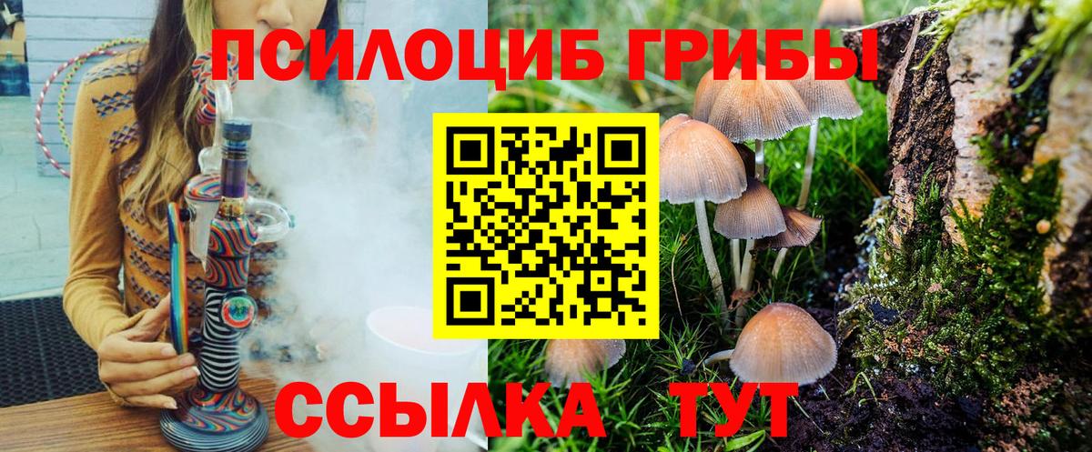 Нижний Новгород  Псилоцибиновые грибы мухоморы  Вход с VPN 